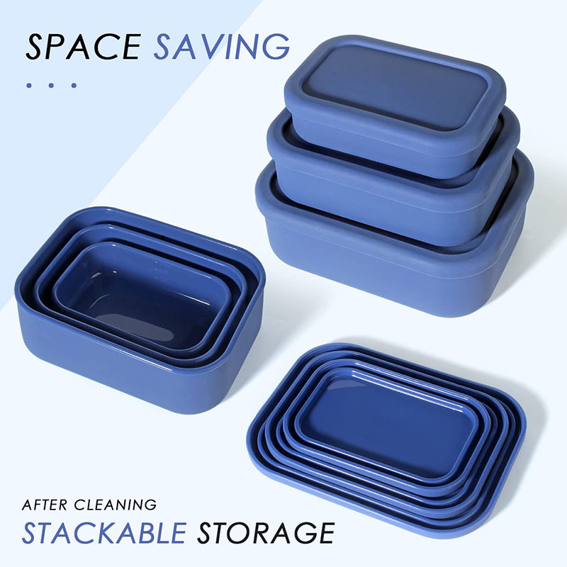 Leak-Resistant Bento Lunch Box - Meal Prep Ideas recension och pris